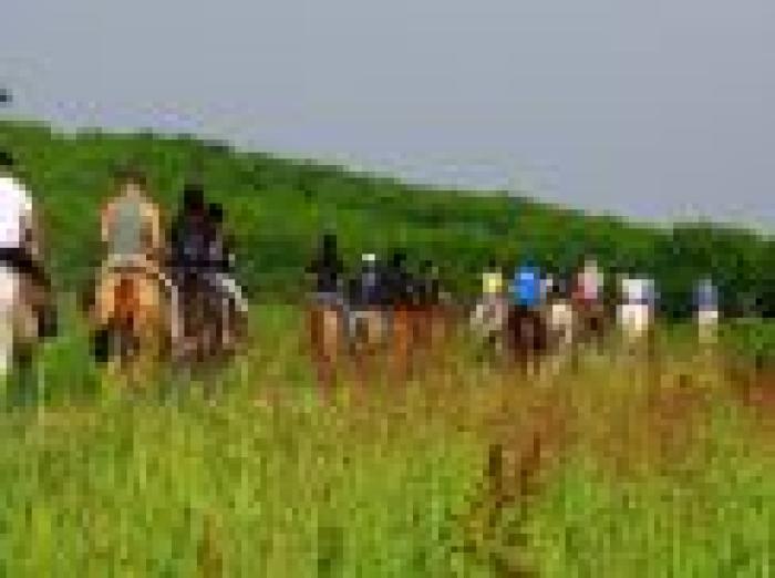 Equiraduni Fitertec, domani cavalli in Vaticano Equiraduni Fitertec, domani cavalli in Vaticano